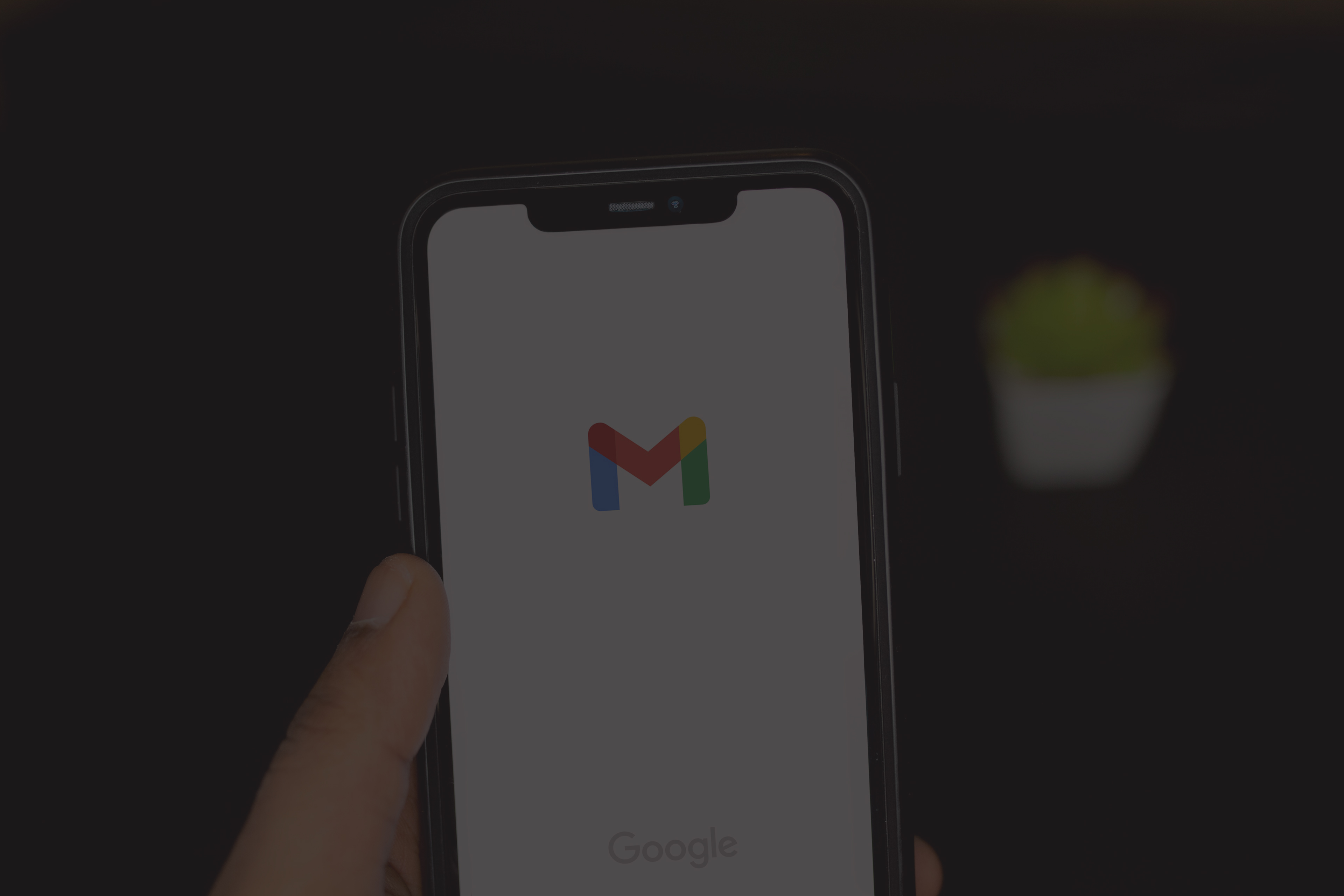 email newsletter page image